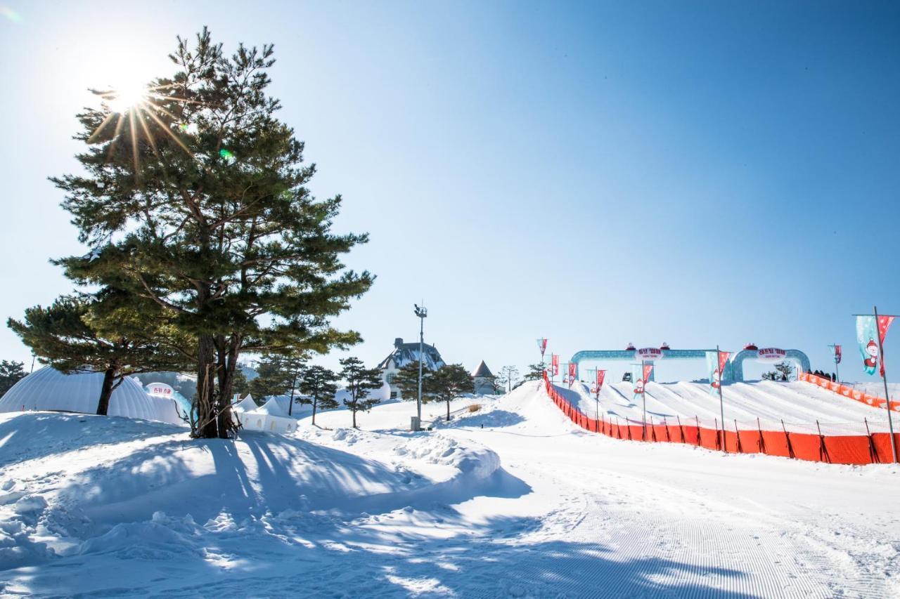 Sono Felice Vivaldi Park Otel Hongcheon Dış mekan fotoğraf